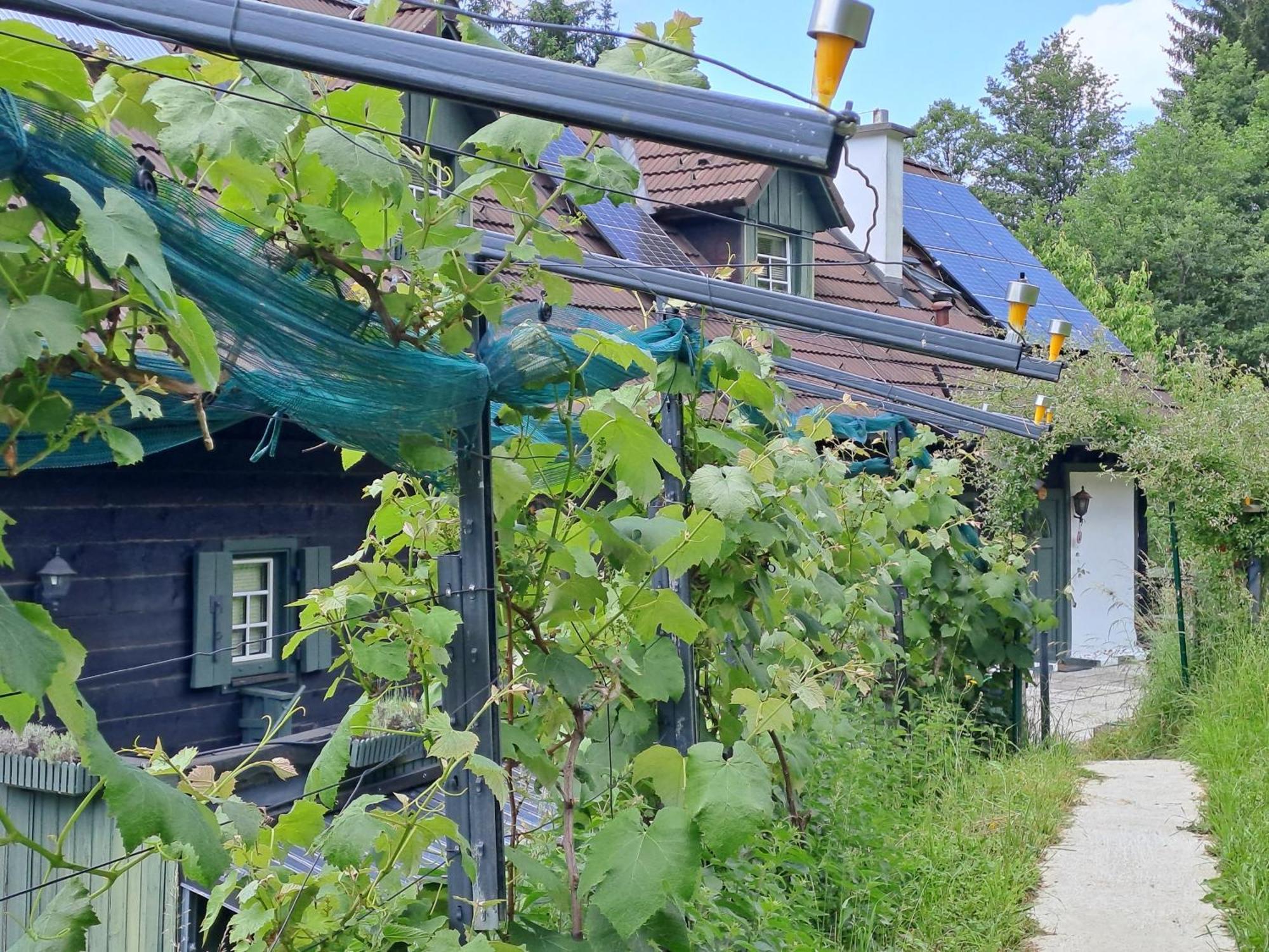 Das Altsteirische Landhaus - La Maison De Pronegg - Feriendomizil Im Biosphaerenpark Wienerwald Pressbaum المظهر الخارجي الصورة