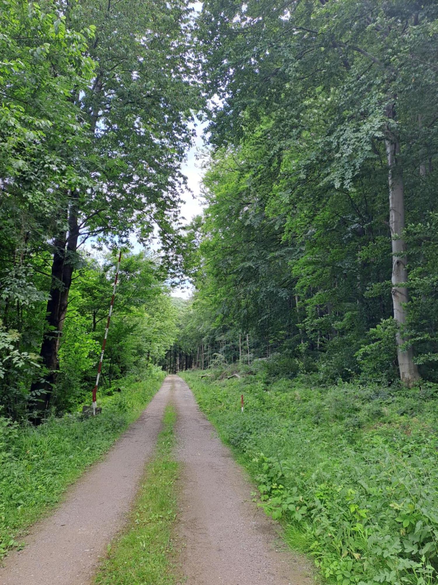 Das Altsteirische Landhaus - La Maison De Pronegg - Feriendomizil Im Biosphaerenpark Wienerwald Pressbaum المظهر الخارجي الصورة