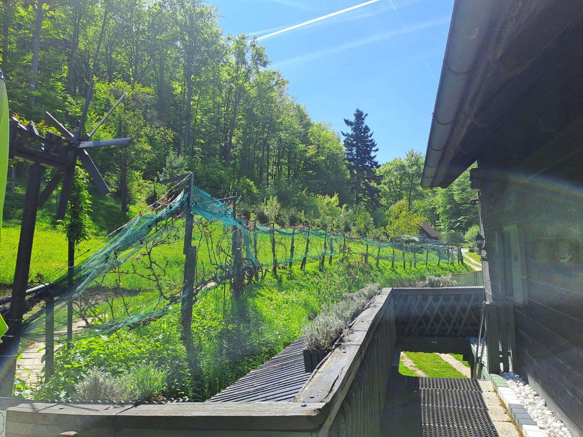 Das Altsteirische Landhaus - La Maison De Pronegg - Feriendomizil Im Biosphaerenpark Wienerwald Pressbaum المظهر الخارجي الصورة