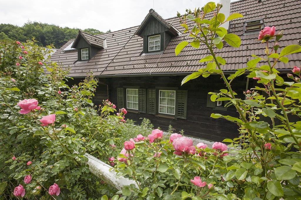 Das Altsteirische Landhaus - La Maison De Pronegg - Feriendomizil Im Biosphaerenpark Wienerwald Pressbaum الغرفة الصورة